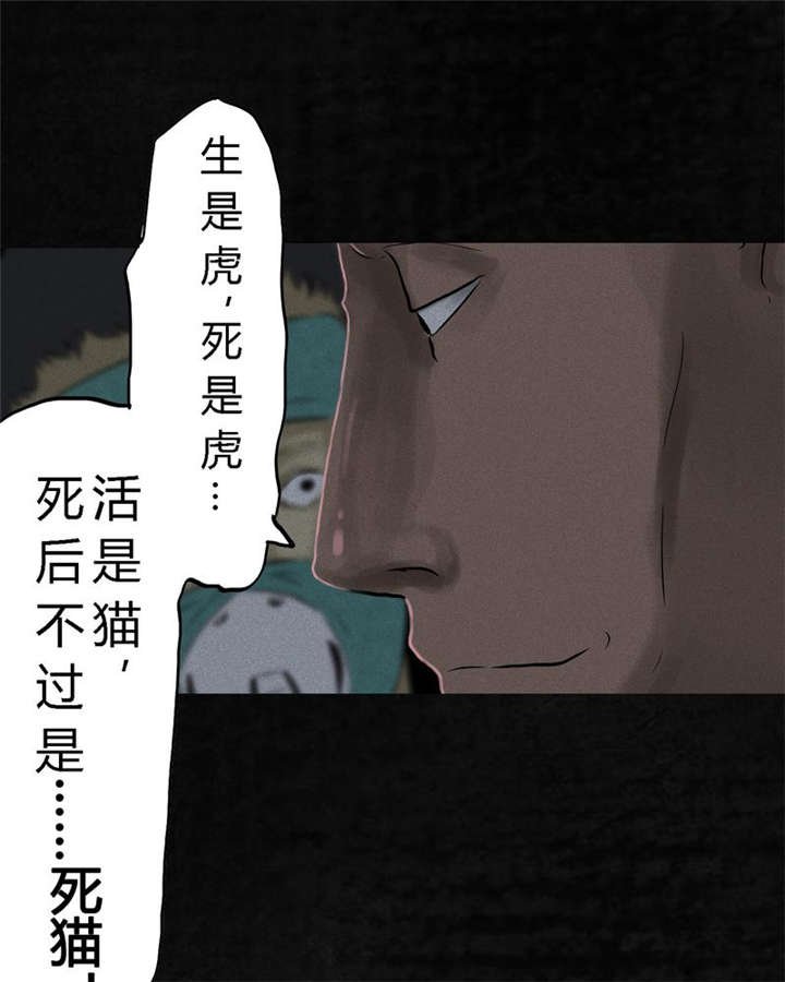 第30章：白毛浮绿水