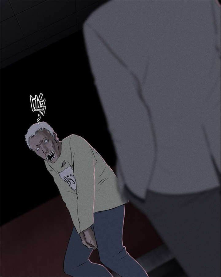第31章：傀儡