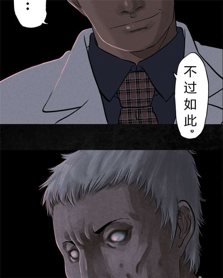 第31章：傀儡