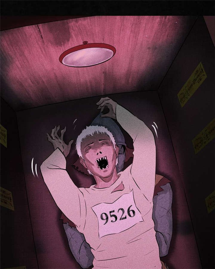 第31章：傀儡