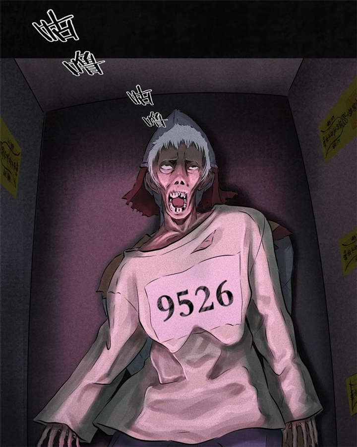 第31章：傀儡