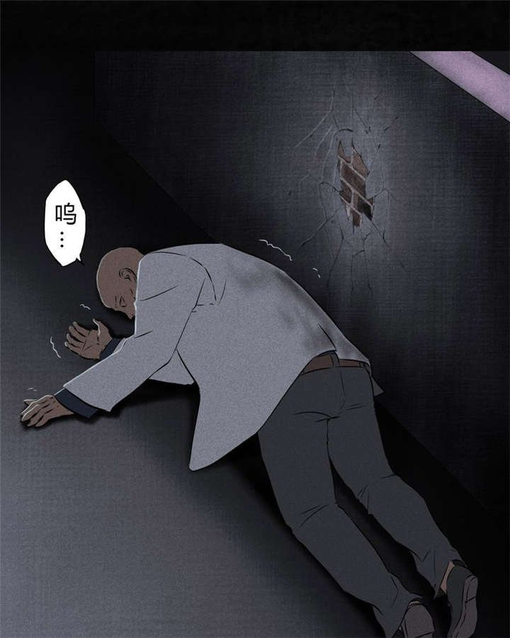 第31章：傀儡
