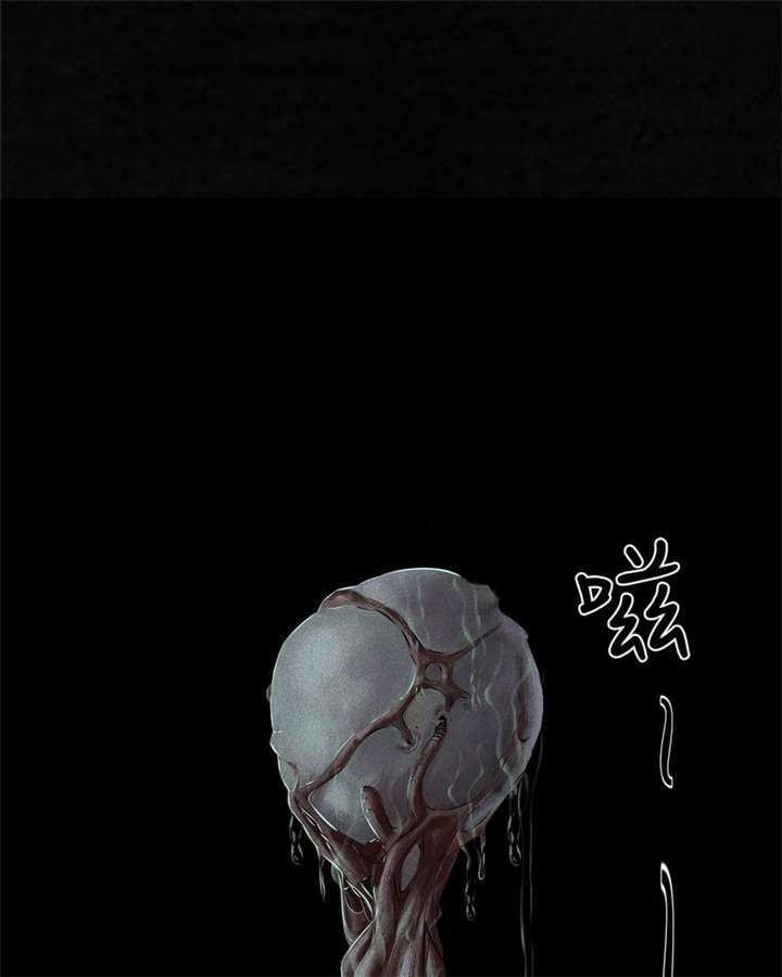 第33章：食物