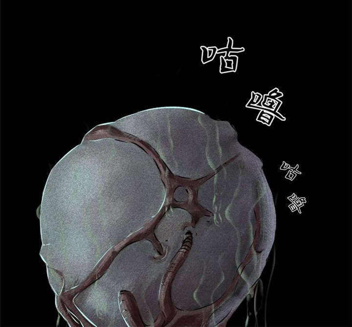 第33章：食物