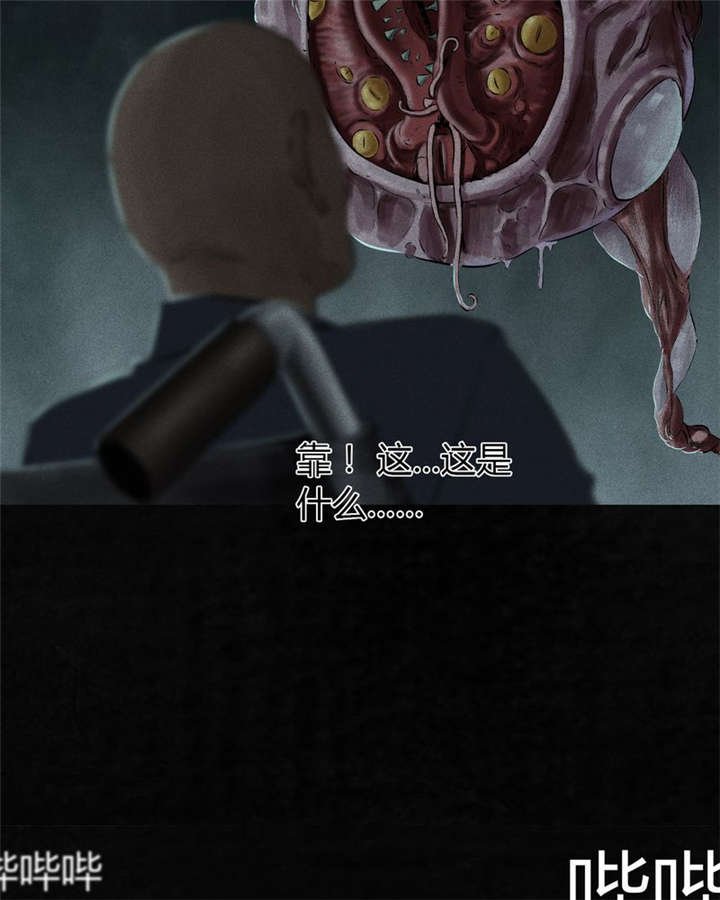 第33章：食物