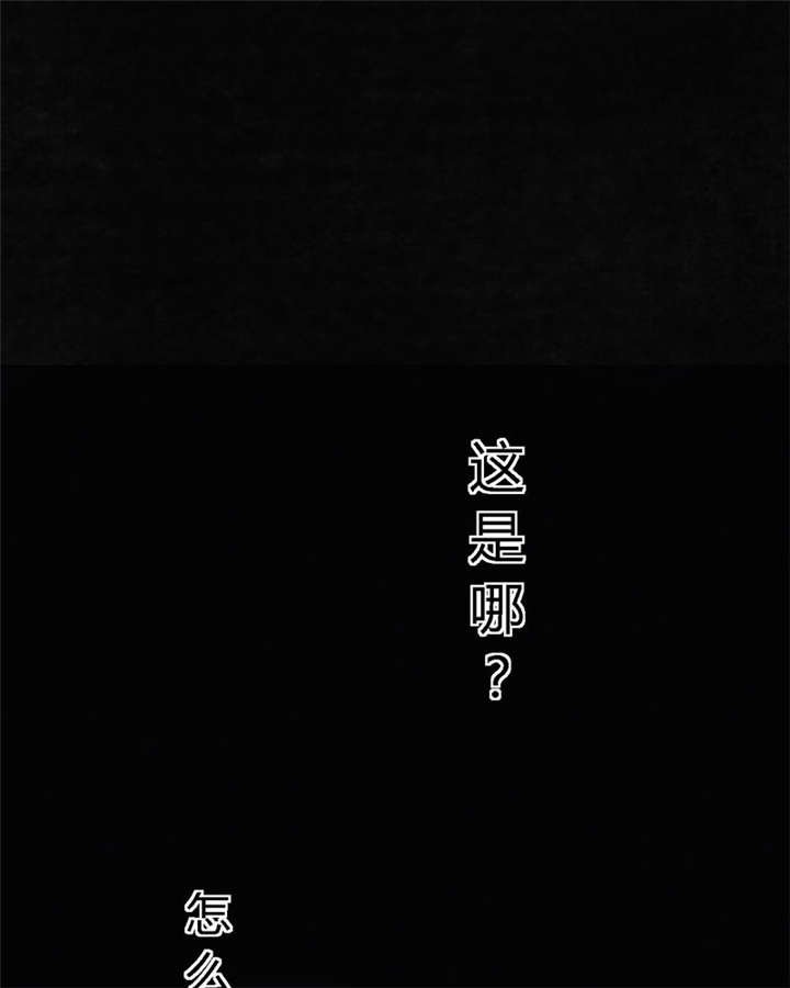 第39章：回到地面？