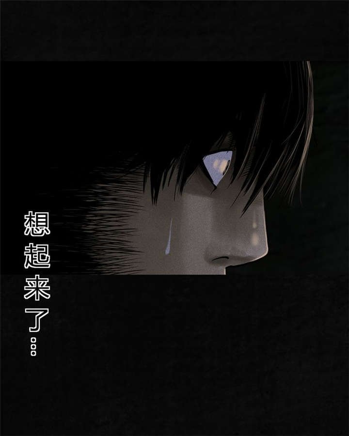 第39章：回到地面？