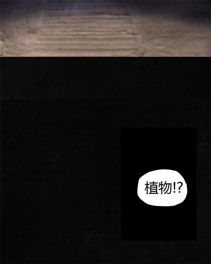 第39章：回到地面？