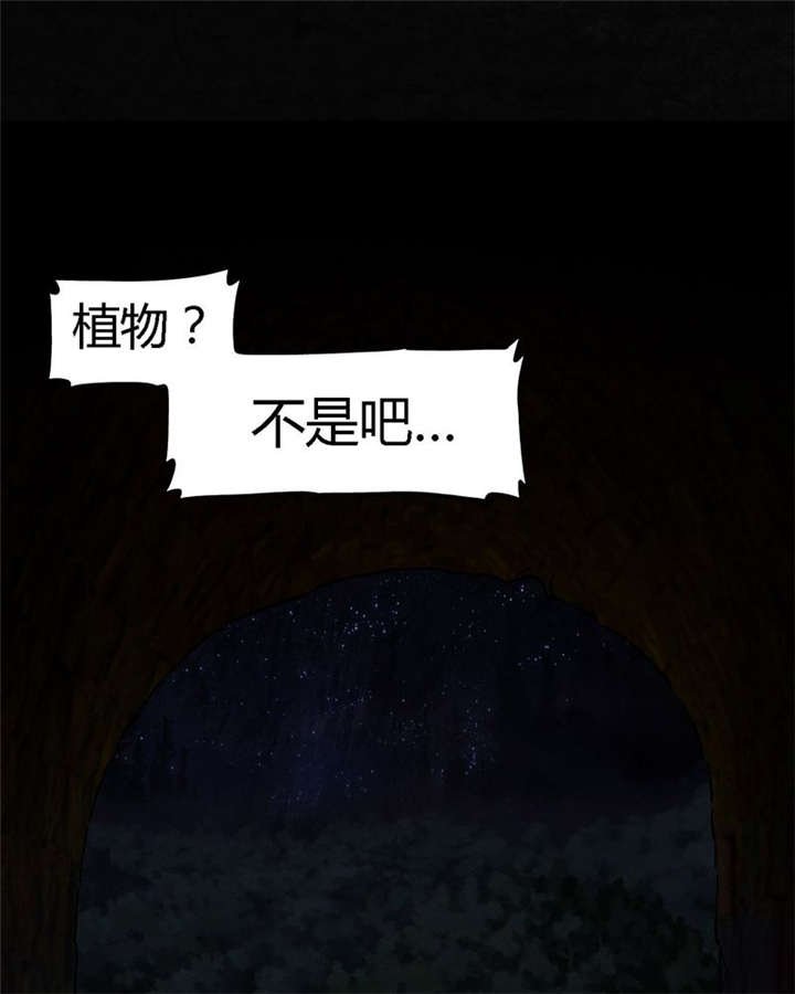 第39章：回到地面？