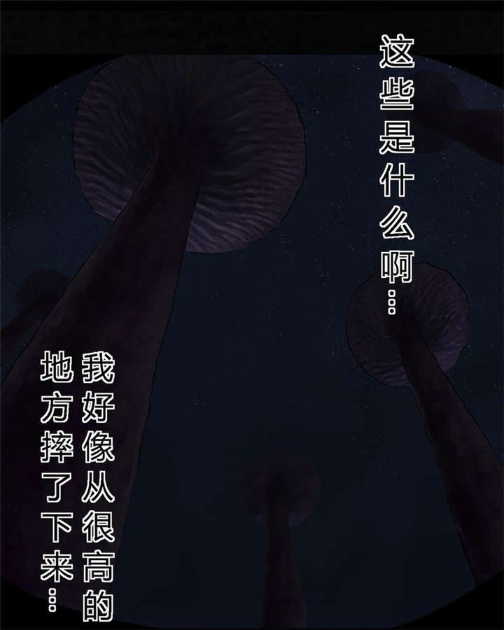 第41章：这里也有···