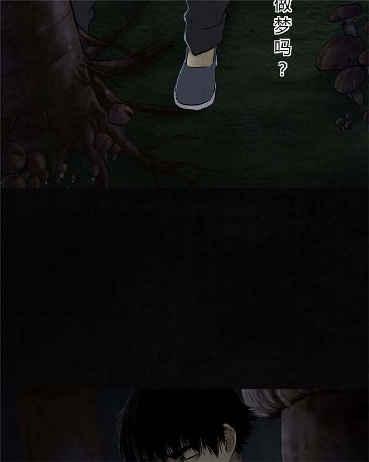 第41章：这里也有···