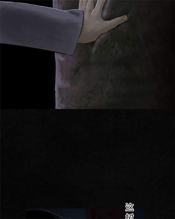 第41章：这里也有···