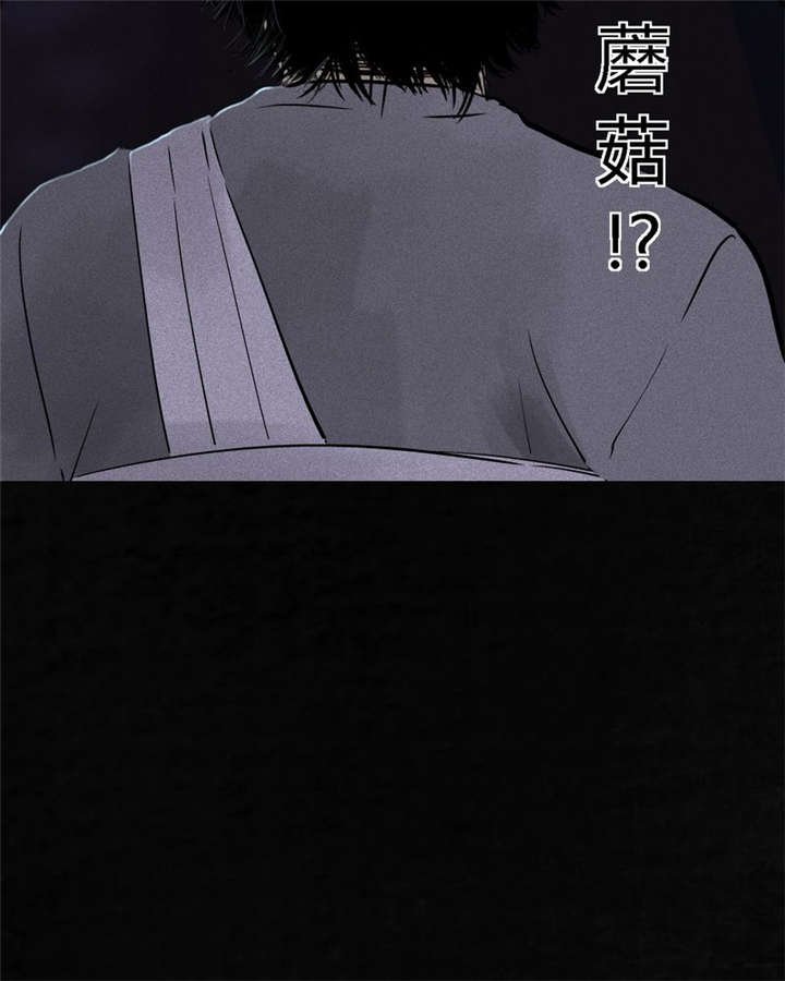 第41章：这里也有···