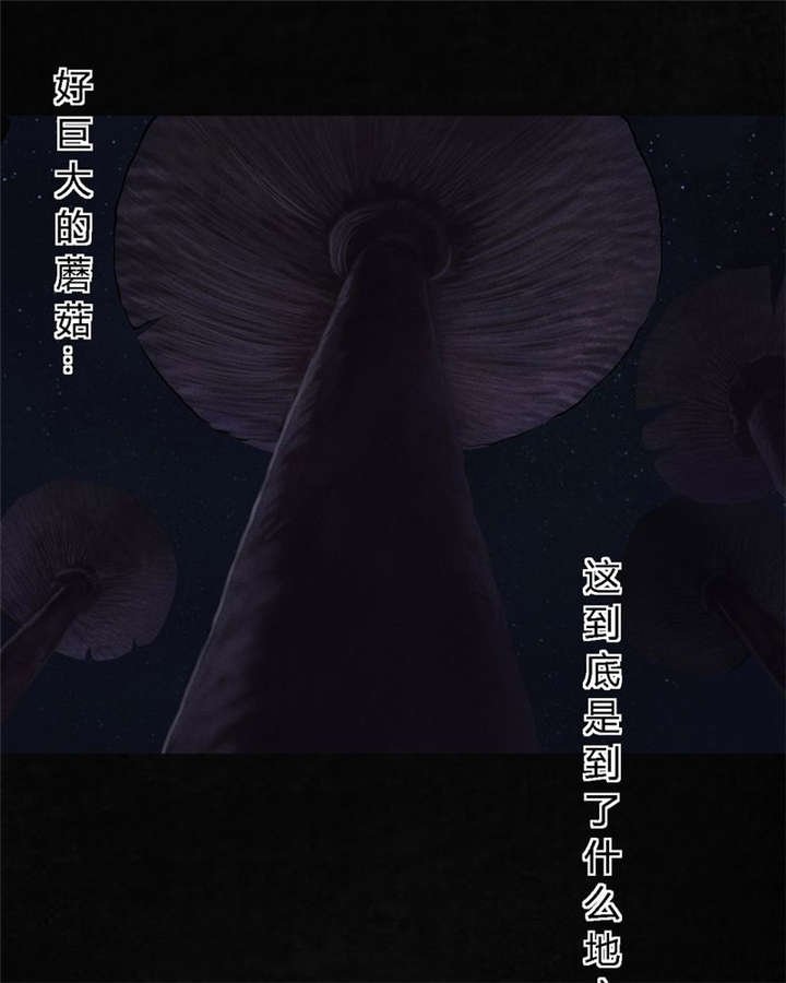 第41章：这里也有···