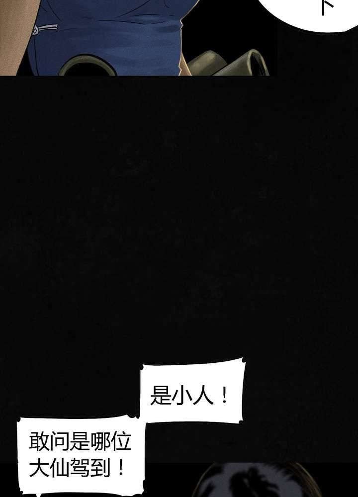 第43章：胡黄白柳灰