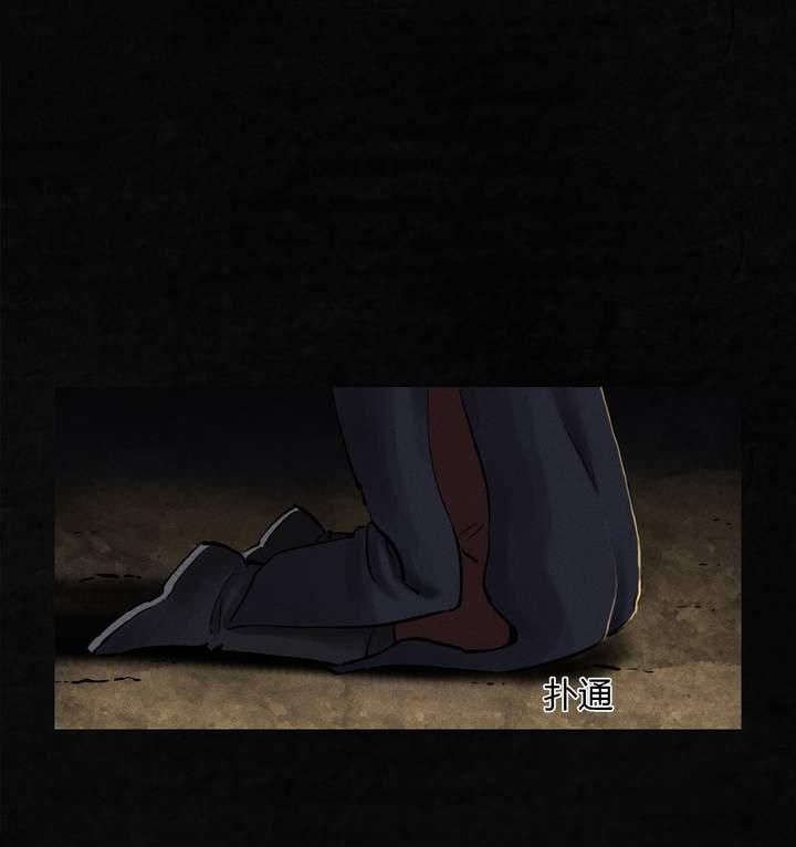 第43章：胡黄白柳灰