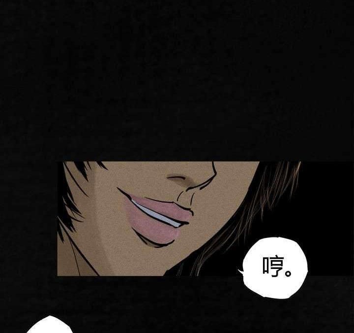 第43章：胡黄白柳灰