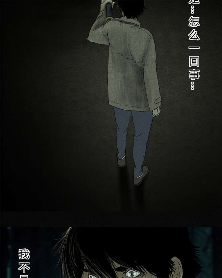 第44章：圣路易医院