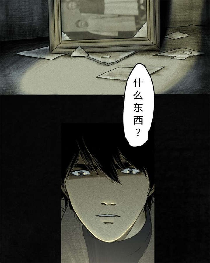 第44章：圣路易医院