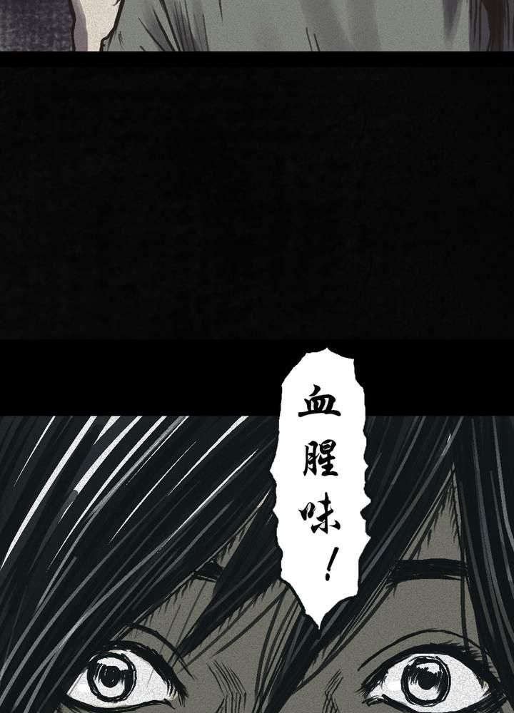 第44章：圣路易医院