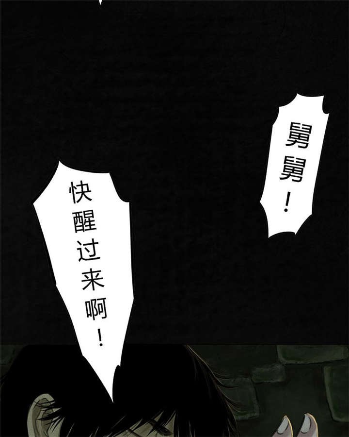 第46章：梦醒时分