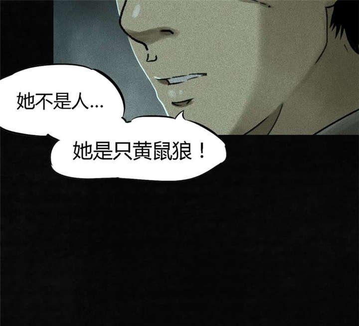 第51章：最终篇（上）