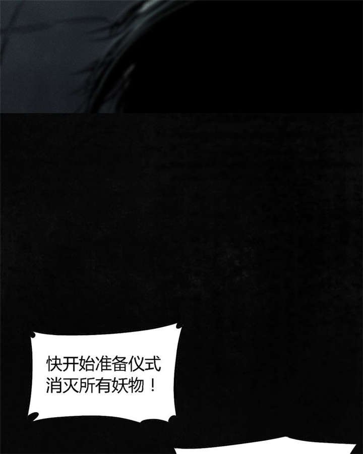 第51章：最终篇（上）