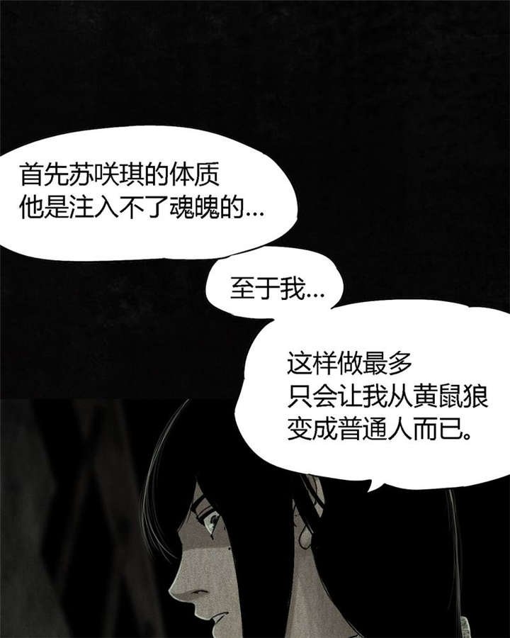 第52章：最终篇（中）