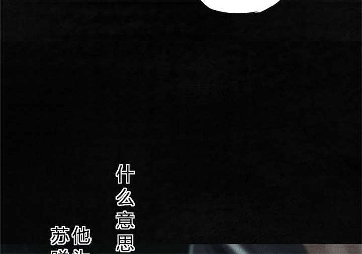 第52章：最终篇（中）