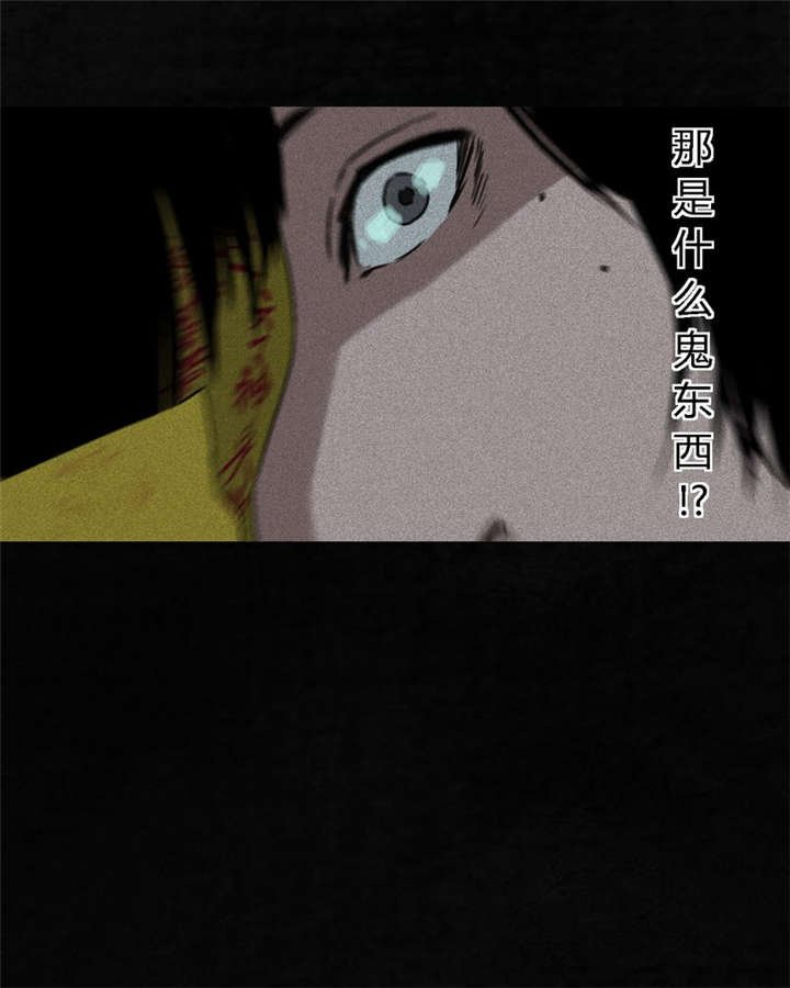 第52章：最终篇（中）