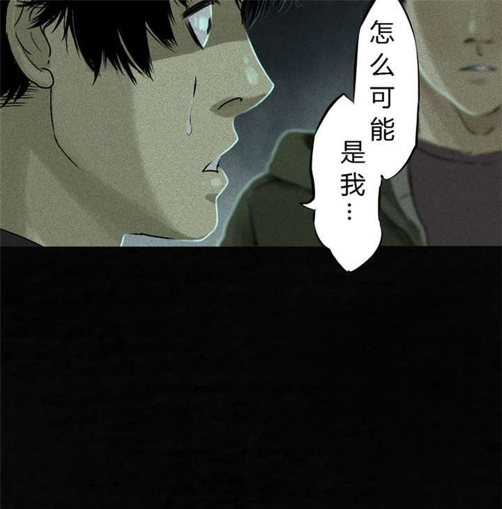 第52章：最终篇（中）