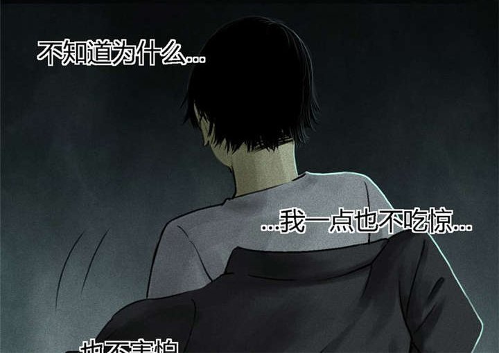 第52章：最终篇（中）