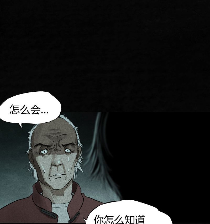 第54章：最终篇（下）