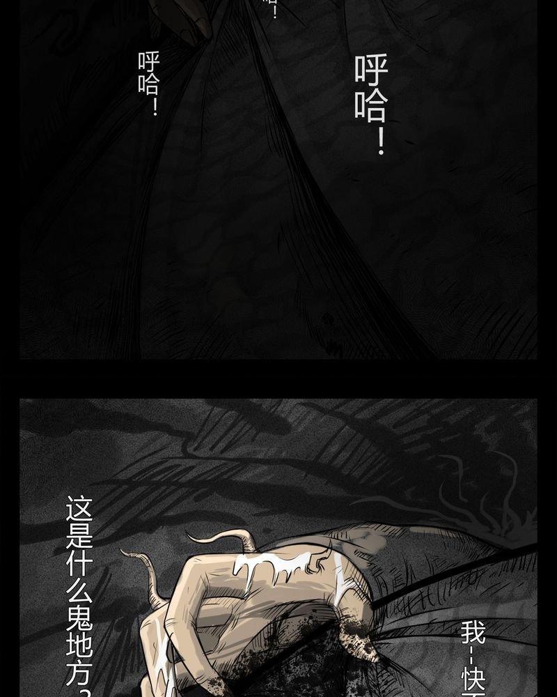 第17章：老师(一)