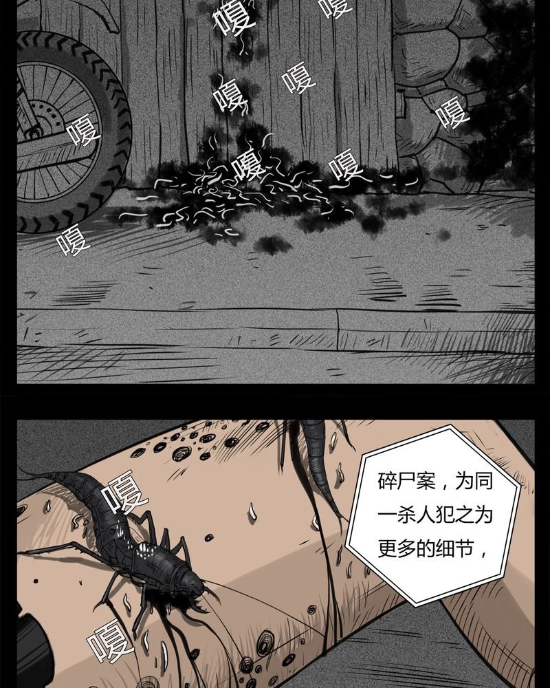 第21章：转校生(二)