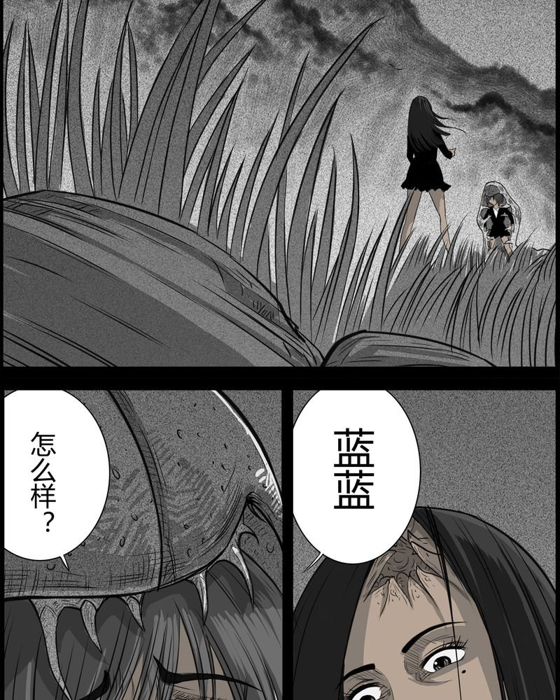 第26章：宿主(四)