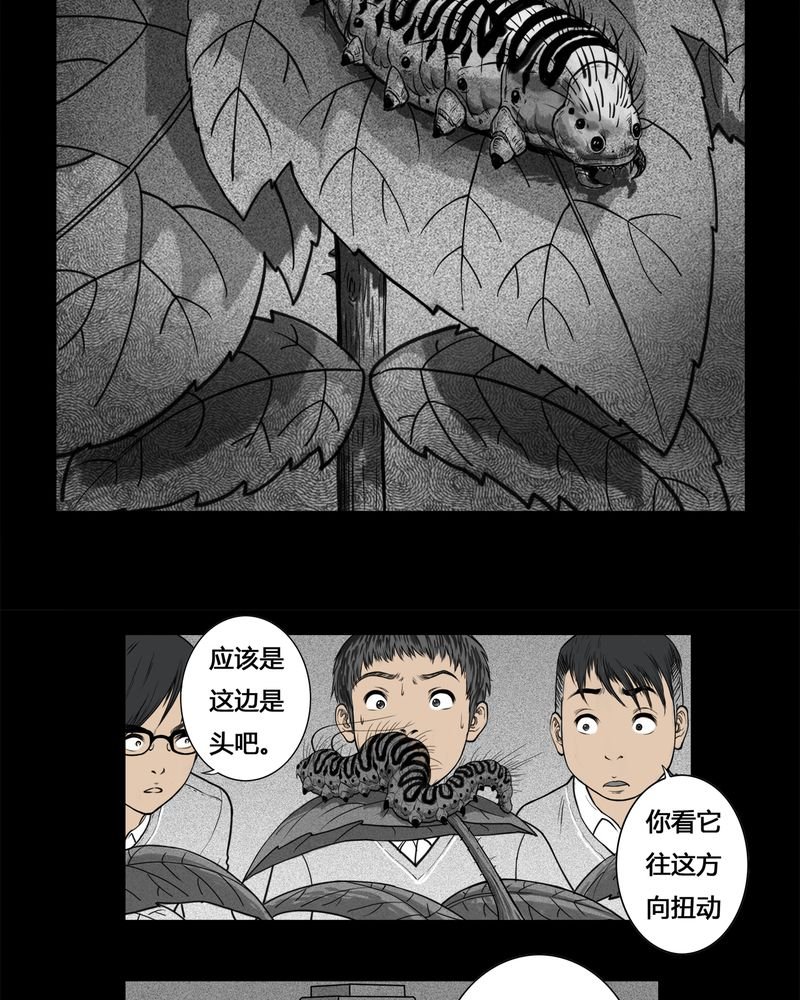 第3章：虫女(一)