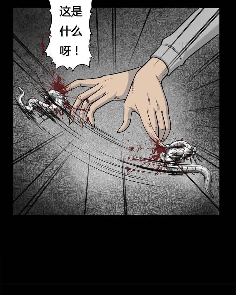 第3章：虫女(一)