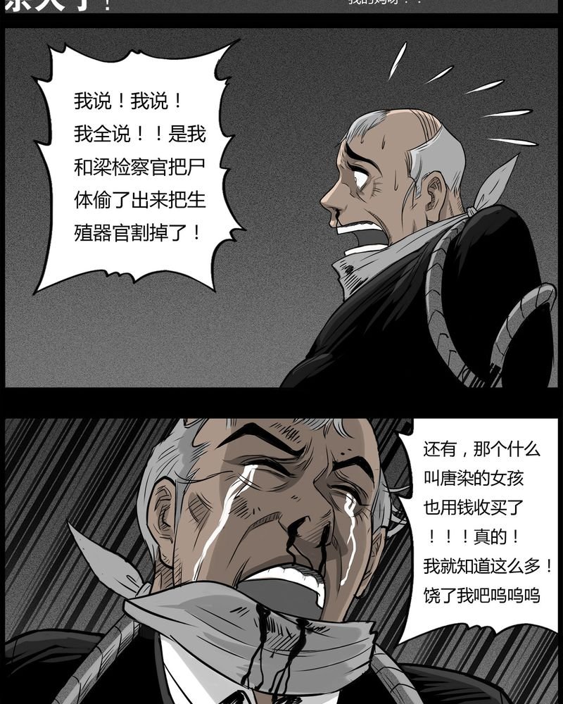 第48章：直播(一)