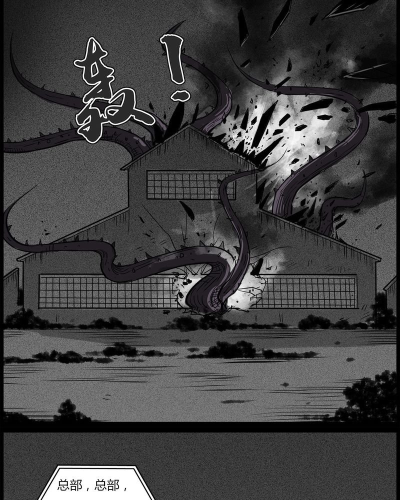 第51章：直播(四)