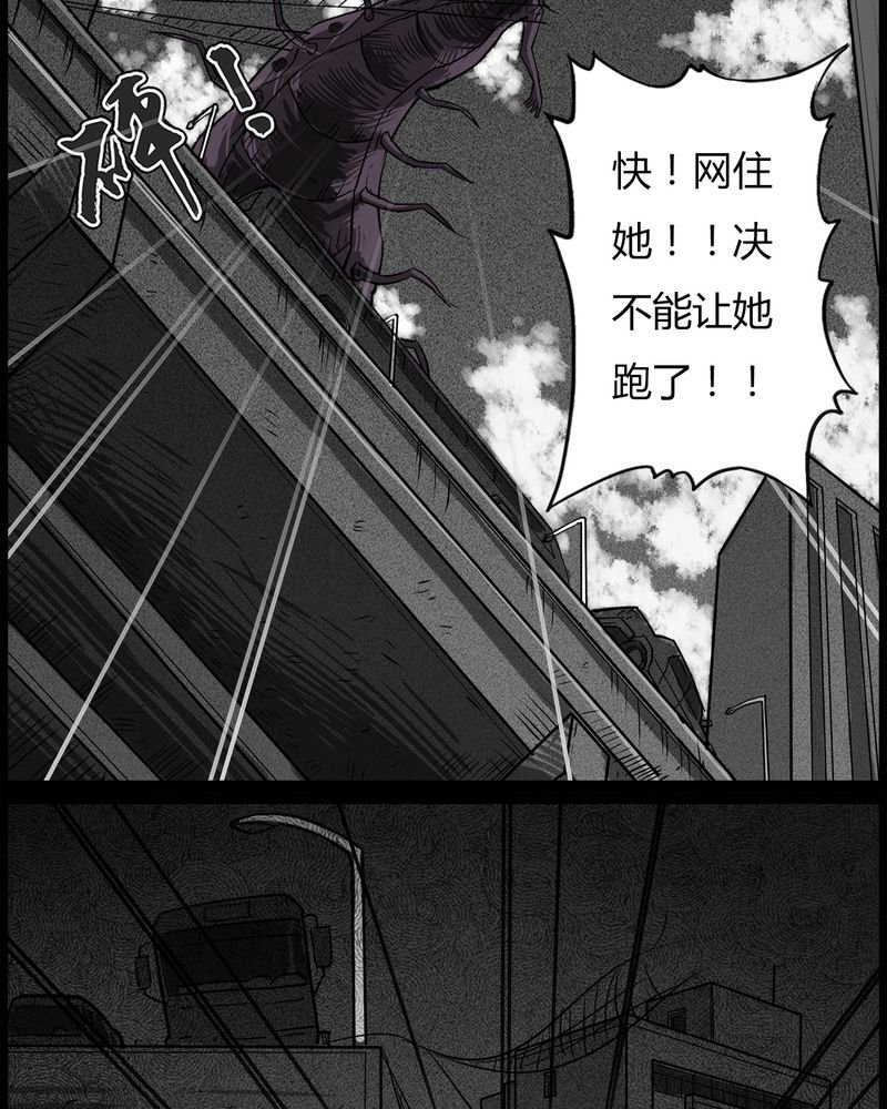 第53章：直播(六)