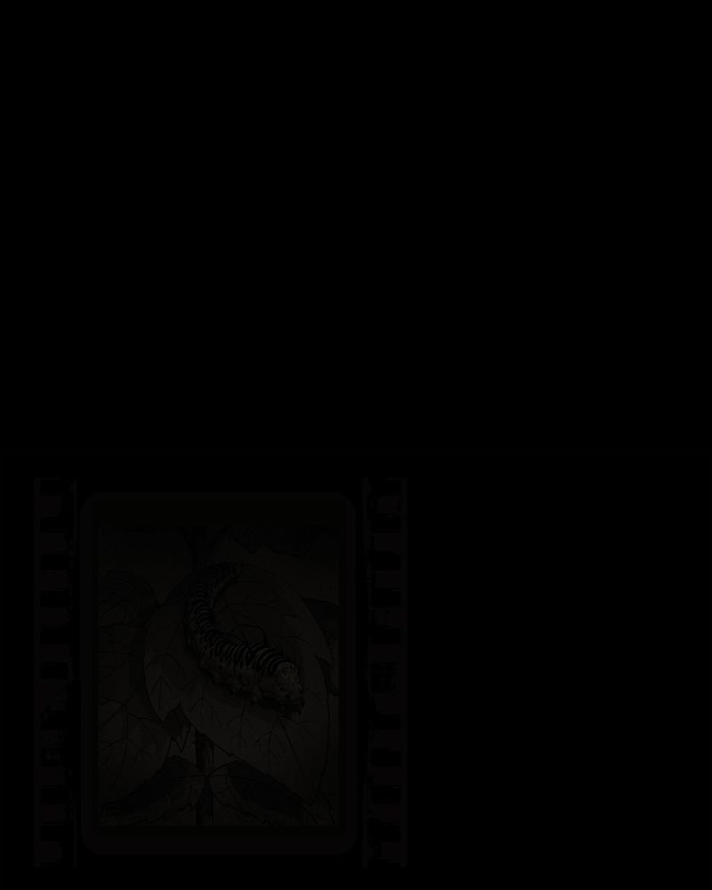 第54章：完结