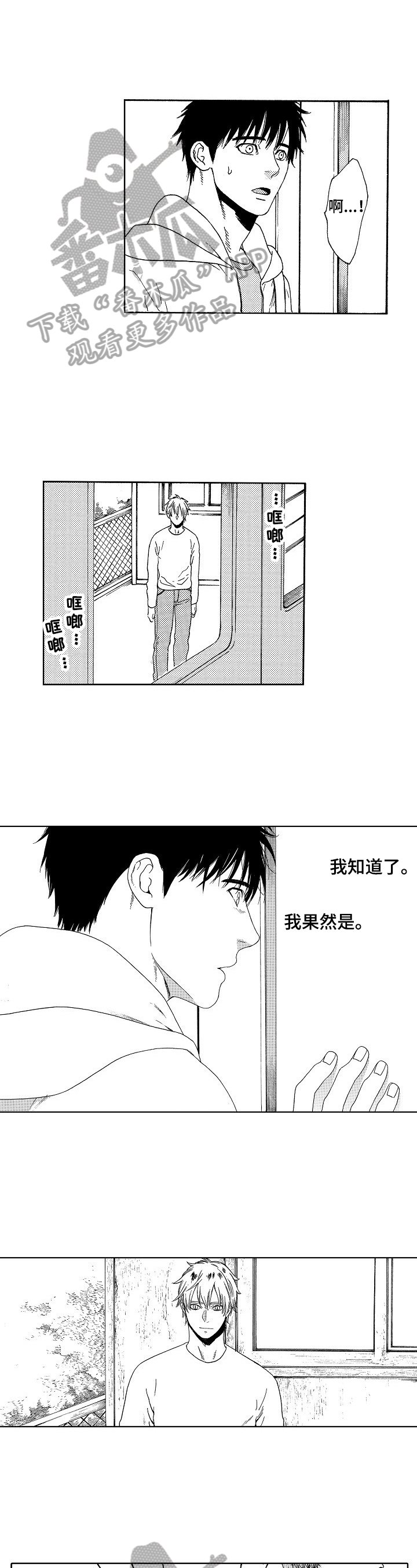 第14章：决定