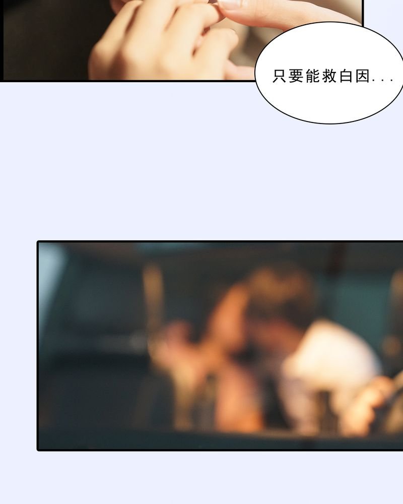 第13章：