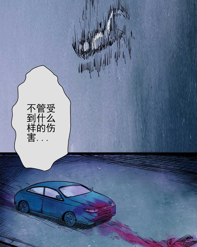 第1章：解剖（一）