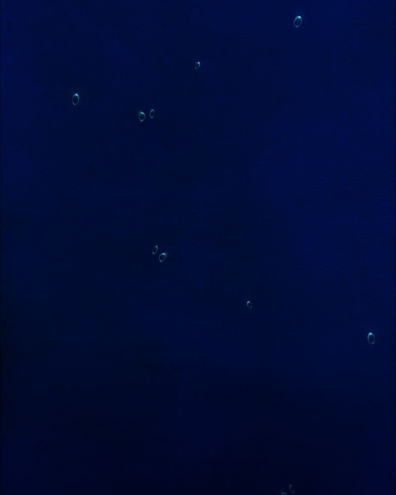 第16章：牵挂（一）
