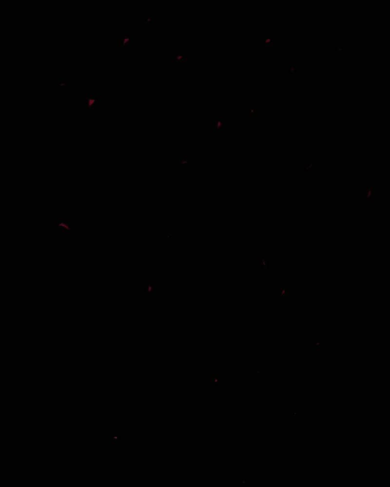 第2章：解剖（二）