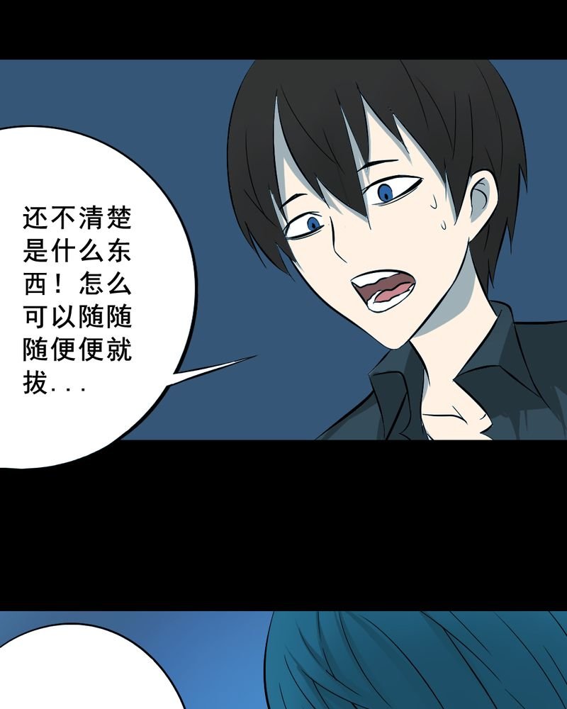 第21章：蘑菇（二）
