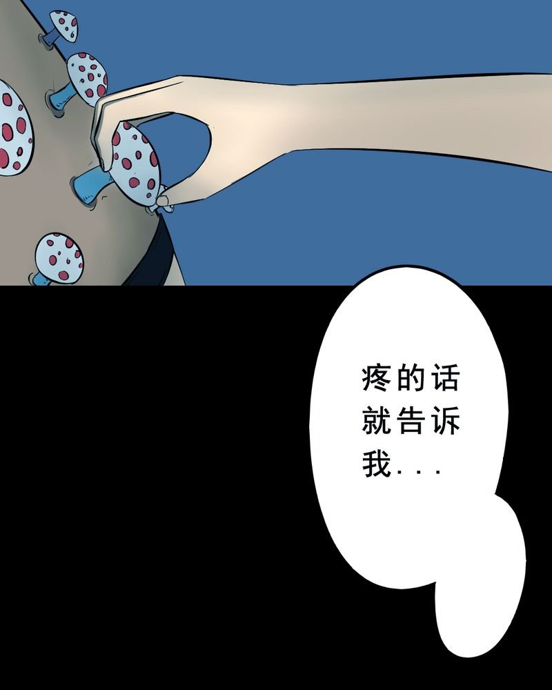 第21章：蘑菇（二）