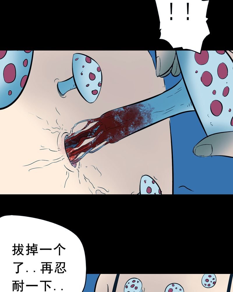 第21章：蘑菇（二）